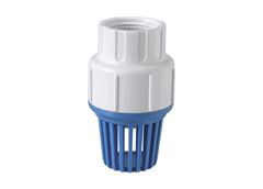 VALV DE POCO C/CRIVO PVC ROSC 2” BR
