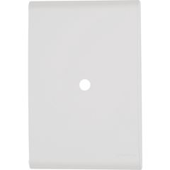 PLACA LIZ 4X2 C/FURO TV BR