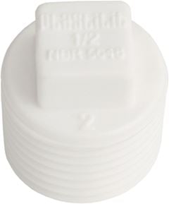 PLUG ROSCAVEL 1”